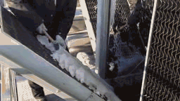 1545014634420596.gif
